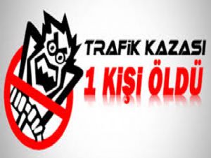 PASİNLER'DE TRAFİK KAZASI: 1 ÖLÜ, 3 YARALI