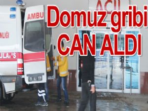 Domuz gribi  CAN ALDI