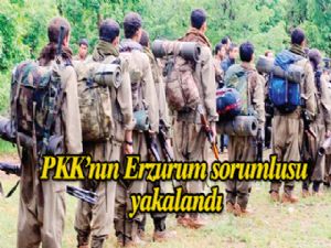 PKK'NIN ERZURUM  sorumlusu yakalandı