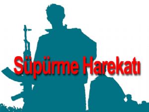 Süpürme harekâtı