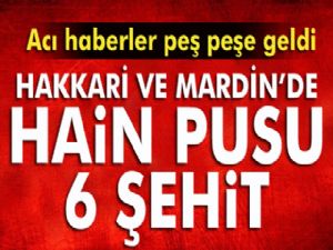 Hakkari ve Mardin'de hain pusu: 6 şehit