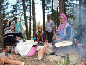 Ayvalı Köyü'nde Yayla Festivali