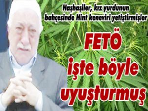 FETÖ işte böyle uyuşturmuş