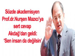 Sen insan da değilsin