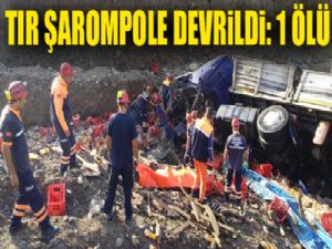 Erzurum'da TIR şarampole devrildi: 1 ölü