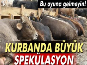 Palandöken: Kurban ve et fiyatları spekülasyonla yükseliyor