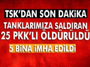25 PKK-PYD üyesi terörist etkisiz hale getirildi