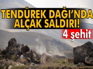 Tendürek Dağı'nda çatışma: 4 şehit