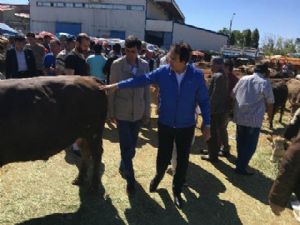 Aydemir, 'Canlı Hayvan Borsası büyük ihtiyaç'