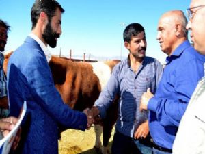 Ilıcalı, kurban pazarının nabzını tuttu