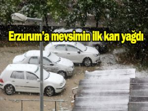 Erzurum kent merkezine mevsimin ilk karı yağdı
