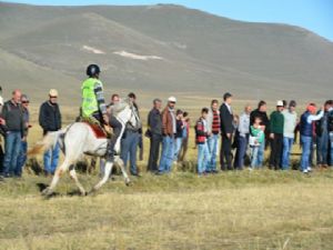 Rahvan At Yarışları Türkiye Şampiyonası Ardahan'da yapıldı