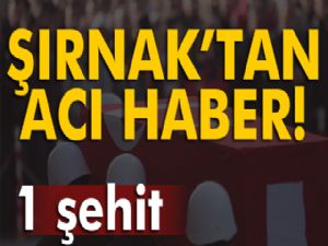 Şırnak'tan acı haber geldi!