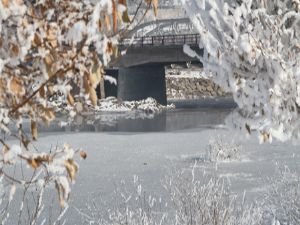 Ardahan'da hayat buz tuttu