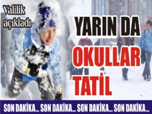 Erzurum'da okullar yarın da tatil edildi