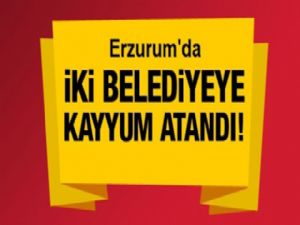 İki belediye daha kayyum atandı!