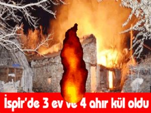  İspir'de 3 ev ve 4 ahır kül oldu