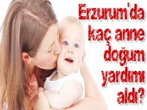 Erzurum'da kaç anne doğum yardımı aldı?