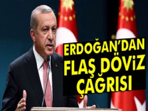 Cumhurbaşkanı Erdoğan'dan döviz çağrısı