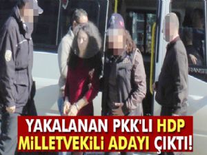 Yakalanan PKK'lı HDP eski milletvekili adayı çıktı