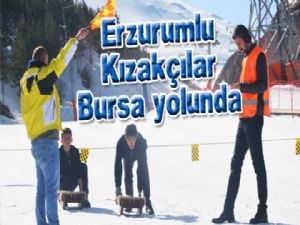  Erzurumlu Kızakçılar Bursa yolunda