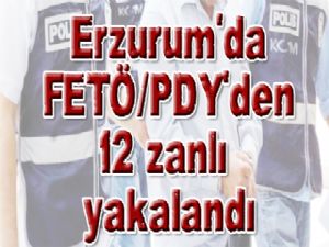  Erzurum'da FETÖ/PDY'den 12 zanlı yakalandı