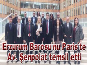 Erzurum Barosunu Paris' te Genel Sekreter Av. Şenpolat temsil etti