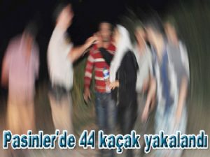  Pasinler'de 44 kaçak yakalandı