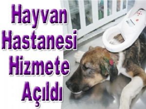 Hayvan Hastanesi Hizmete Açıldı