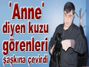 'Anne' diyen kuzu görenleri şaşkına çevirdi