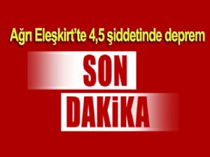 Ağrı Eleşkirt'te 4,5 şiddetinde deprem 