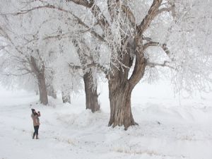 Doğu Anadolu'da soğuk hava