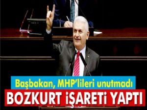 Başbakan Binali Yıldırım bozkurt işareti yaptı