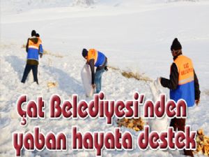 Çat Belediyesinden yaban hayata destek