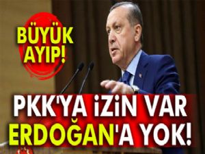 Almanya'da PKK'ya izin var Erdoğan'a yok