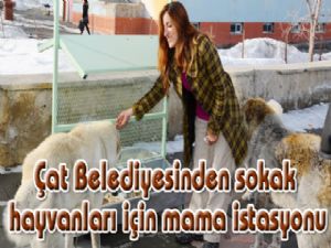  Çat Belediyesinden sokak hayvanları için mama istasyonu