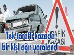 Erzurum'da tek taraflı kazada bir kişi ağır yaralandı