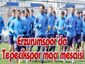 Erzurumspor'da Tepecikspor maçı mesaisi