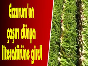 Erzurum'un çaşırı dünya literatürüne girdi
