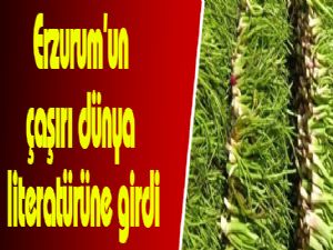 Erzurum'un çaşırı dünya literatürüne girdi