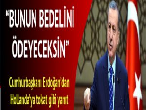 Cumhurbaşkanı Erdoğan'dan Hollanda'ya yaptırım çağrısı