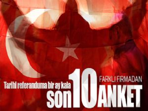 Son anketlerde referandum tahminleri