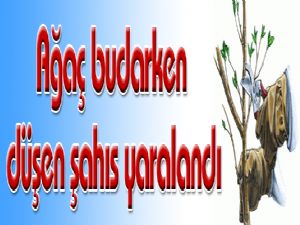 Ağaç budarken düşen şahıs yaralandı