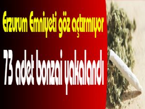 Erzurum'da bonzai operasyonu