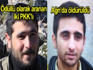 300 bin TL ödülle aranan iki üst düzey PKK'lı Ağrı'da öldürüldü