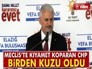 Başbakan Yıldırım: 