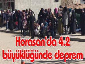 Horasan'da 4.2 büyüklüğünde deprem