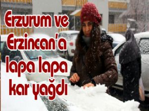  Erzurum ve Erzincan'a lapa lapa kar yağdı