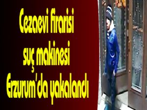Cezaevi firarisi suç makinesi Erzurum'da yakalandı