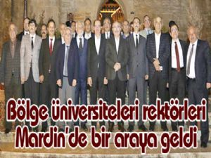 Bölge üniversiteleri rektörleri Mardin'de bir araya geldi